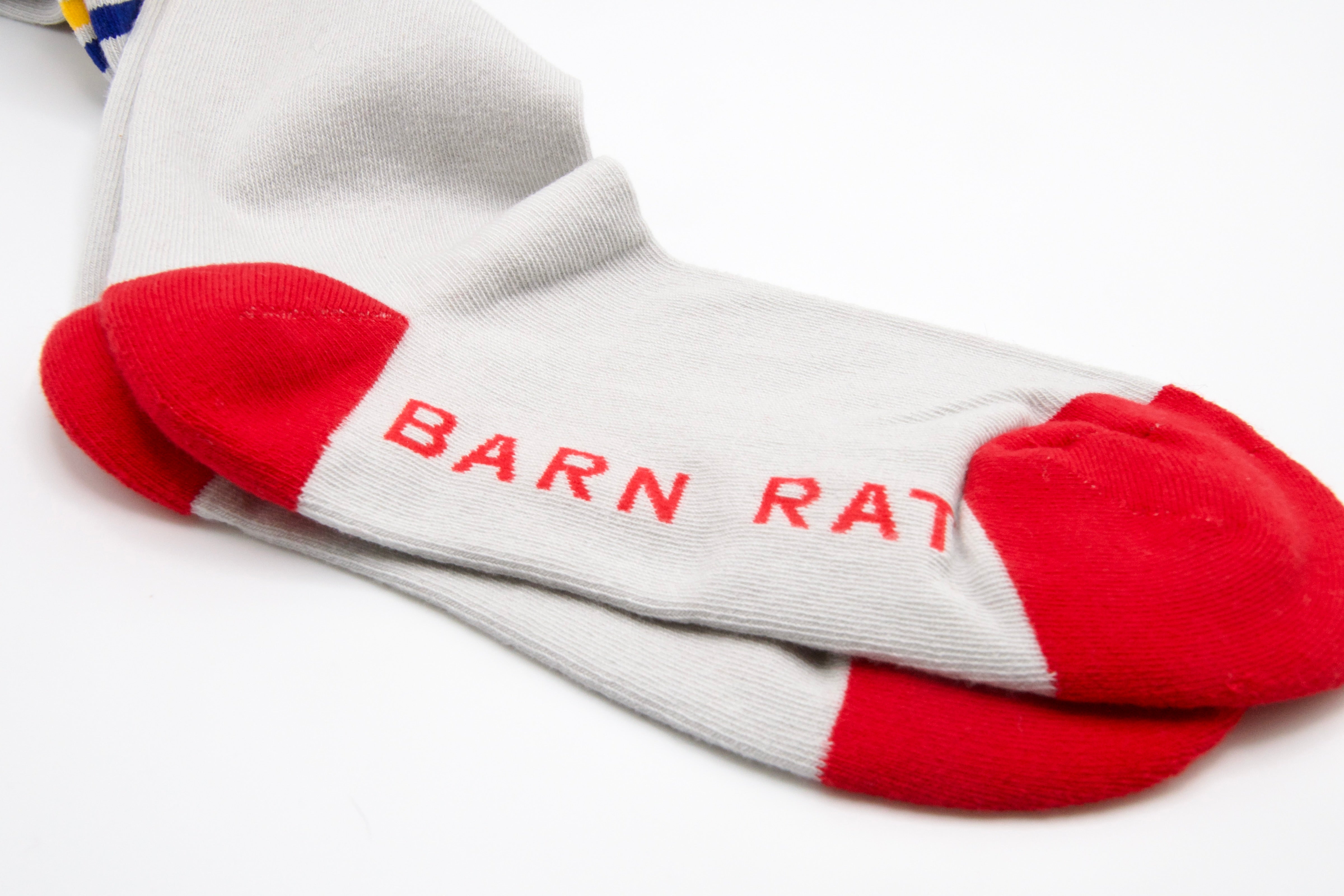 Rainbow Barn Rat Sock