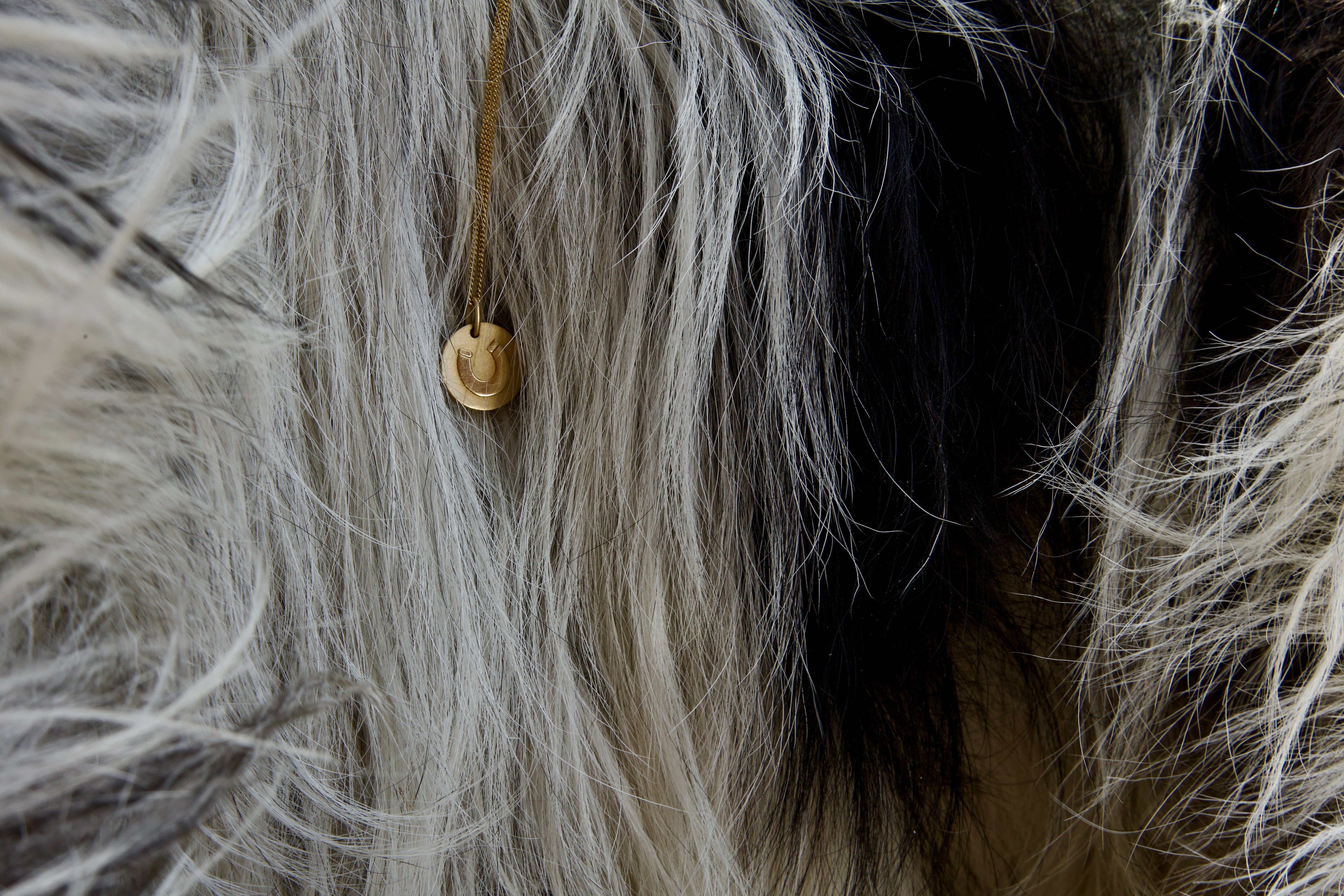 More Than Luck Necklace