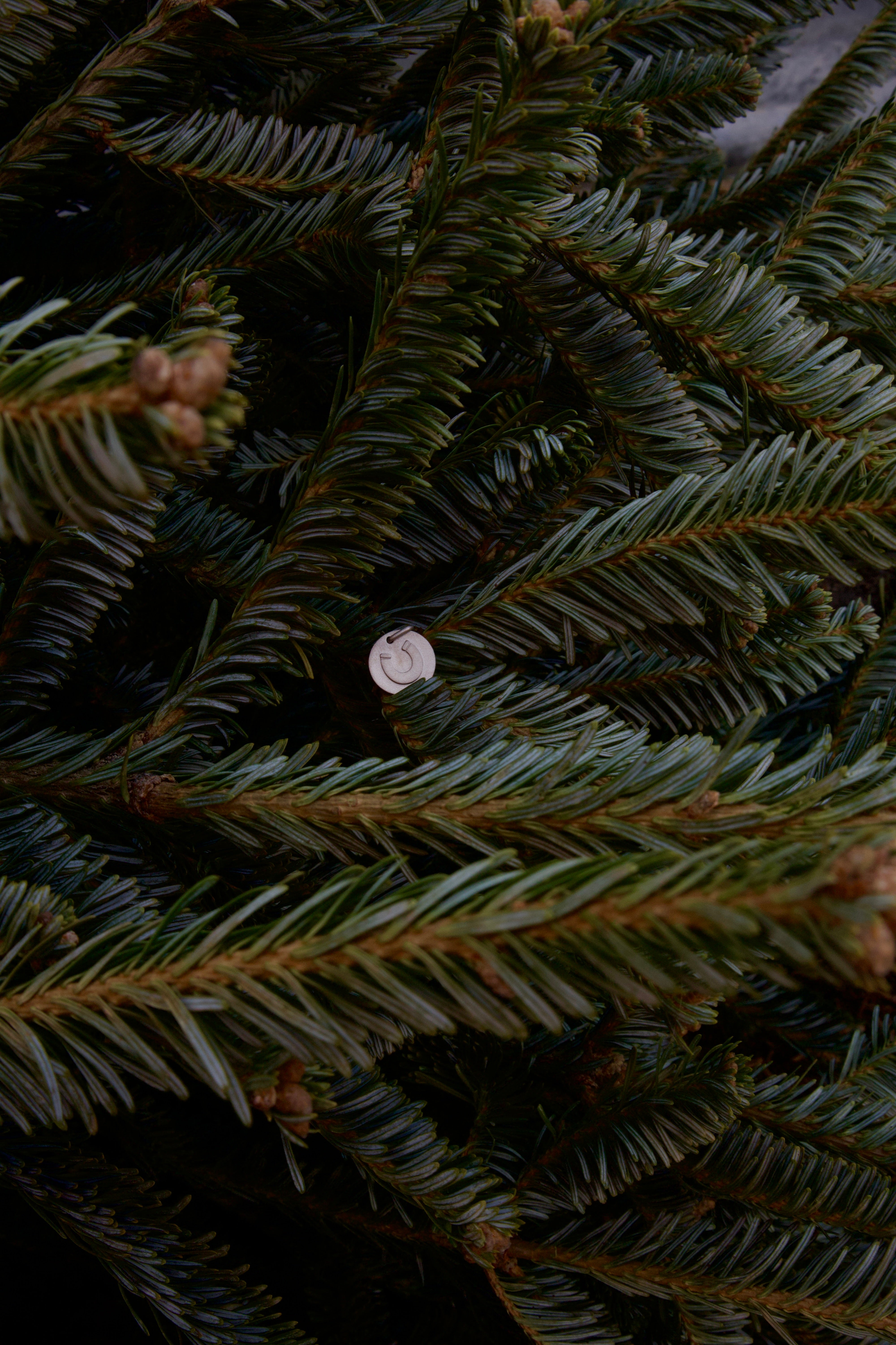 More Than Luck Necklace